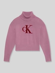 Regular Fit Pullover aus reiner Baumwolle von Calvin Klein Jeans Bordeaux - 45