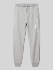 Sweatpants mit Label-Details  Modell 'AGE OF BLUE' von Quiksilver - 14