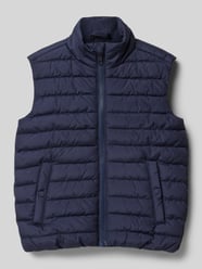 Regular Fit Steppweste mit Stehkragen von s.Oliver RED LABEL - 24