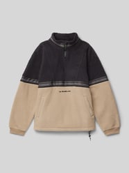 Sweatshirt mit Stehkragen Modell 'TAKE US BACK' von Quiksilver Beige - 20