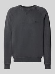 Regular Fit Sweatshirt aus reiner Baumwolle Modell 'Plush' von Replay - 41