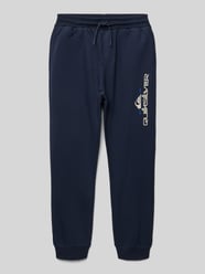 Sweatpants mit Label-Details  Modell 'AGE OF BLUE' von Quiksilver - 41