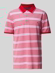 Regular Fit Poloshirt mit Label-Stitching von Fynch-Hatton - 42