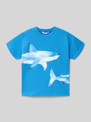 Regular Fit T-Shirt mit Motiv-Print von Mayoral - 10