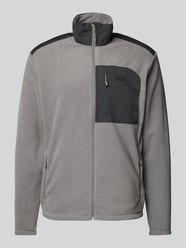 Fleecejacke mit Stehkragen Modell 'DAYBREAKER' von Helly Hansen Grau - 14