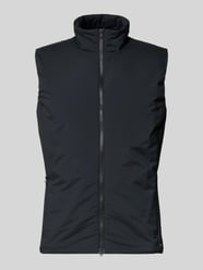 Regular fit gilet met opstaande kraag, model 'Map' van SCANDINAVIAN EDITION - 35