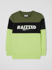 Sweatshirt mit Logo Modell 'Morgan' von Raizzed Grün - 43