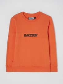 Sweatshirt mit Rundhalsausschnitt Modell 'Macon' von Raizzed Orange - 46